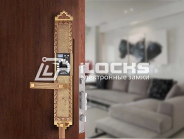 Биометрический электронный замок для двери F5200 Rose Gold